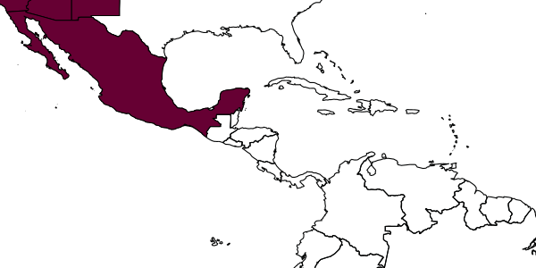 map of Ufens principalis     Owen in Al-Wahaibi et al., 2005